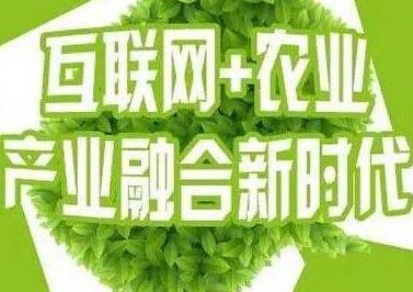 互聯網+農業發展現狀前景分析-互聯網對我國農業的影響-KIA MOS管